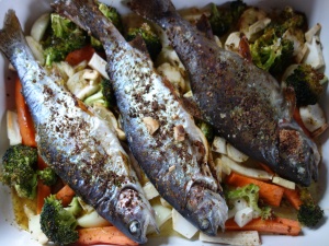 lov pstruhů Cesky Krumlov